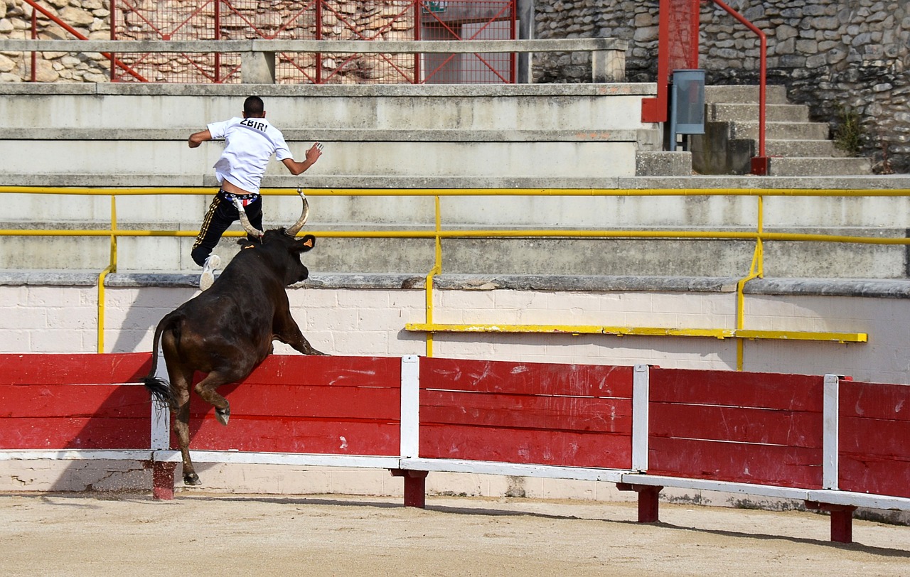 右后卫