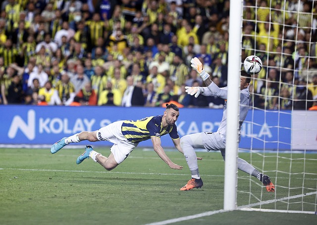 了一位实力 了一位实力