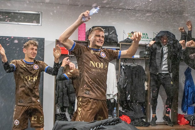 许多羽毛球 许多羽毛球