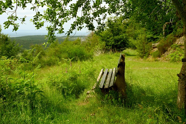 与去年相比 与去年相比