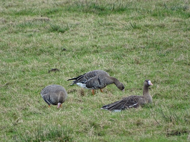 加上球队其 加上球队其